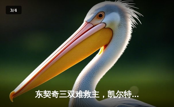 东契奇三双难救主，凯尔特人加时险胜独行侠夺总决赛开门红 - 3