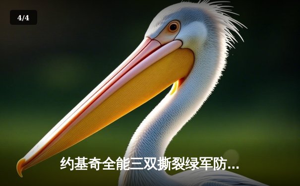 约基奇全能三双撕裂绿军防线，掘金主场力克凯尔特人登顶联盟 - 4